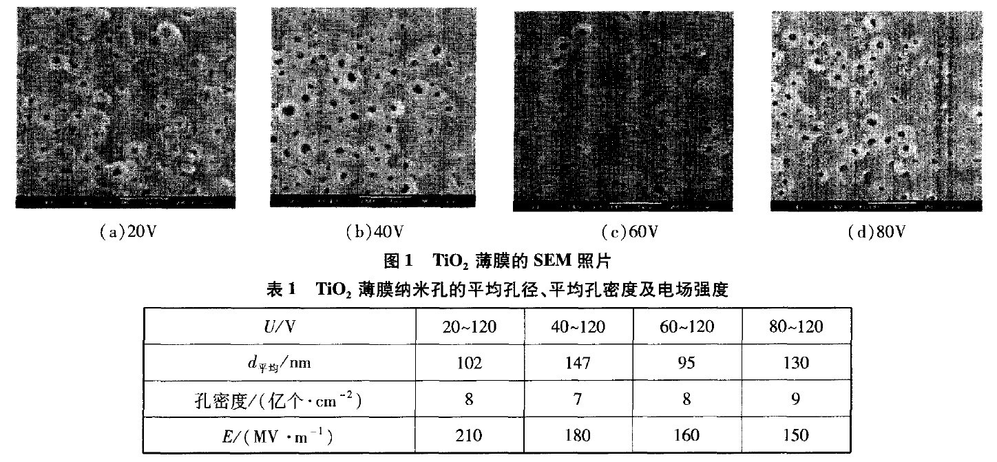 電壓對(duì)鈦陽(yáng)極氧化薄膜形貌的影響 電壓對(duì)鈦陽(yáng)極氧化薄膜形貌的影響