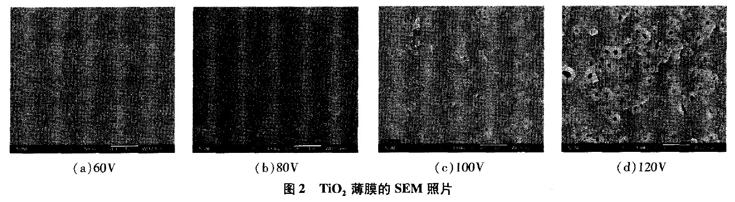 電壓對(duì)鈦陽(yáng)極氧化薄膜的影響 電壓對(duì)鈦陽(yáng)極氧化薄膜的影響