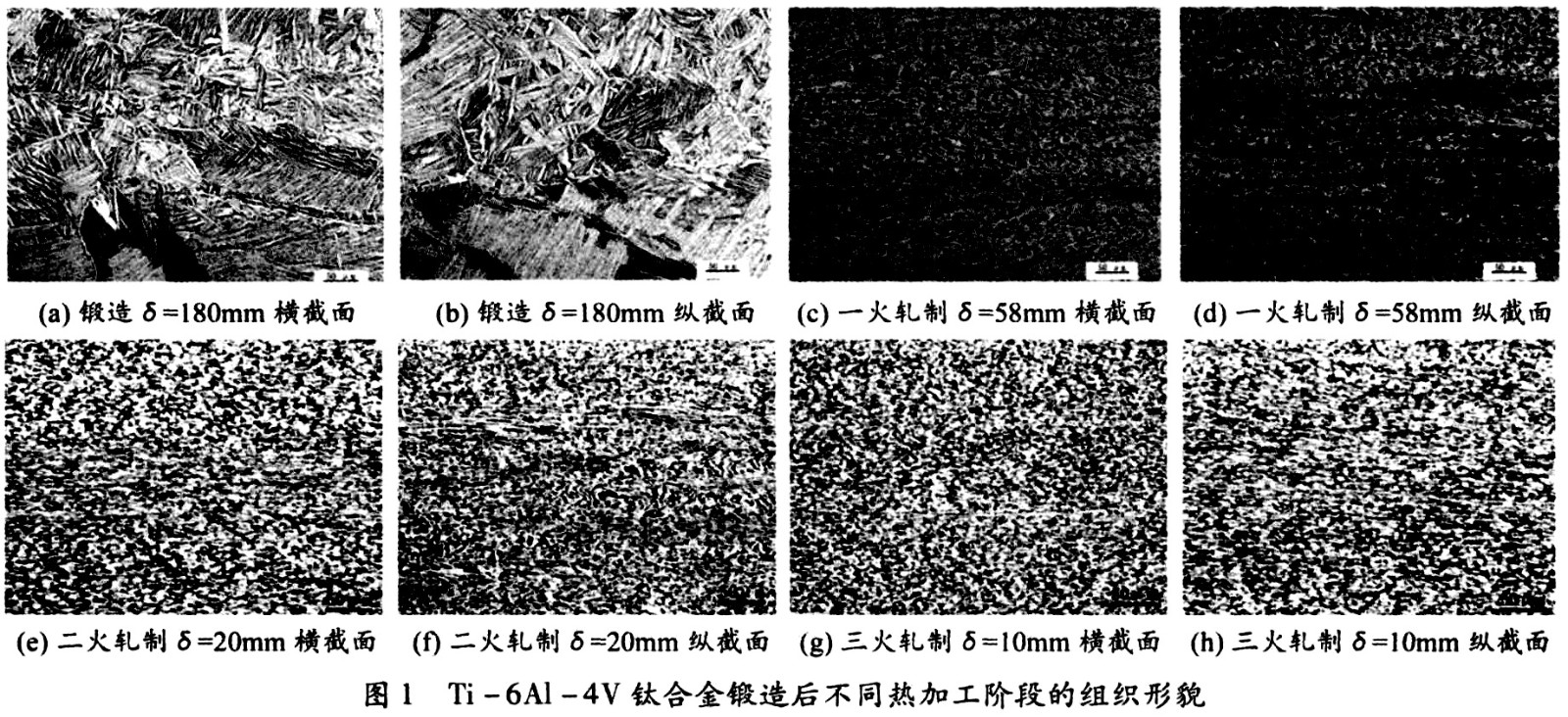 1687582847826592.jpg 未標(biāo)題-3.jpg
