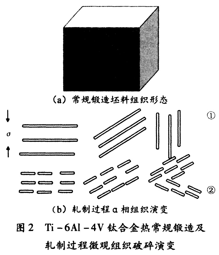1687582866230161.jpg 未標(biāo)題-5.jpg